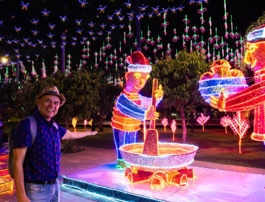 Tour Privado de Luces Navideñas + Degustación Tradicional
