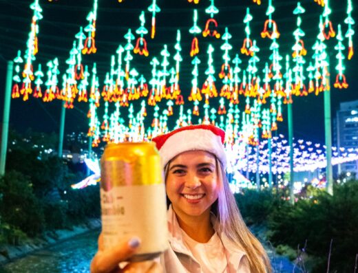 Tour Semiprivado de Luces + Kit Navideño Festivo