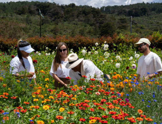 Tour de Flores y Silletas + Placita de Flórez – Semiprivado