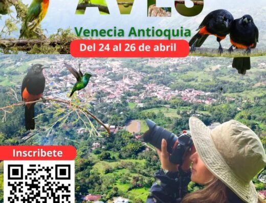 Festival de Aves de Venecia