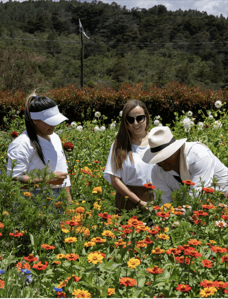 Feria de las Flores en Medellín con espacios dedicados a la cultura, las tradiciones y el entretenimiento.