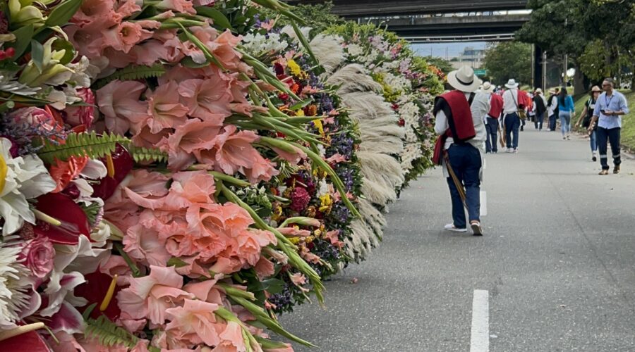 Silleteros desfilando con coloridas silletas durante la Feria de las Flores en Medellín.