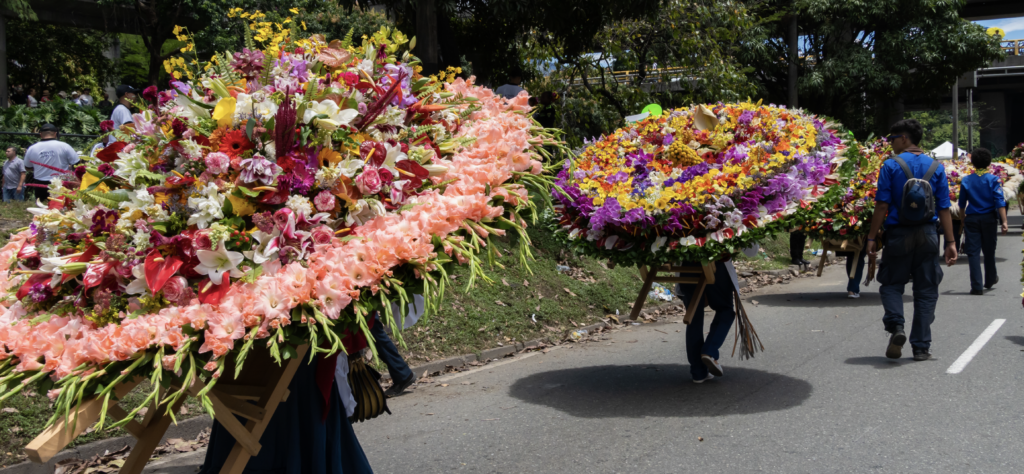 Experiencia Silletera con ingreso al Desfile de Silleteros 2026 en Medellín