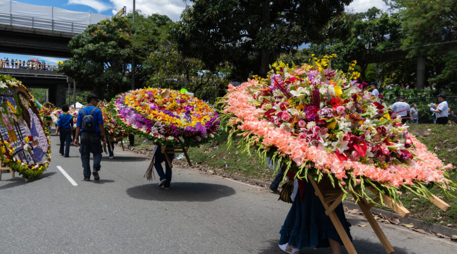 Experiencia Silletera con ingreso al Desfile de Silleteros 2026 en Medellín