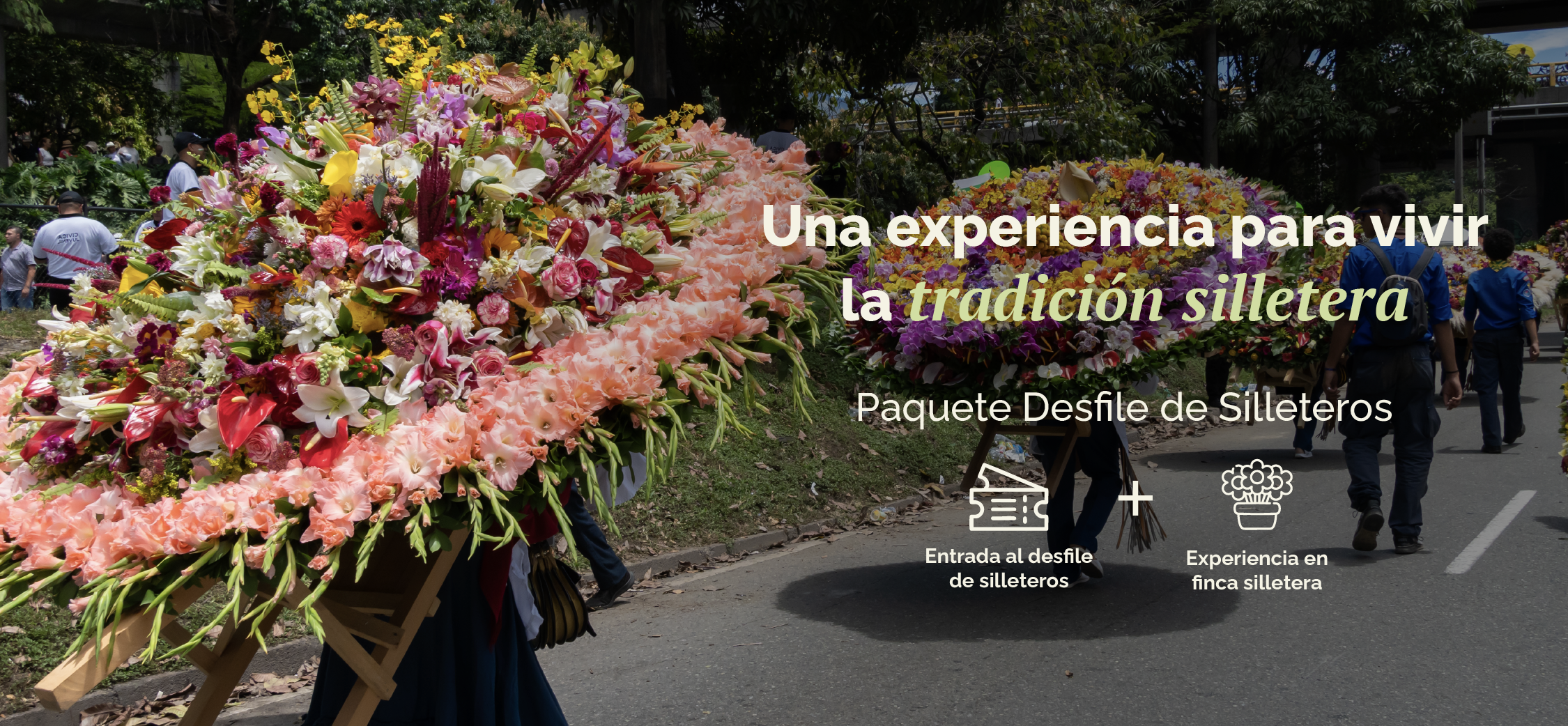 Experiencia Silletera con ingreso al Desfile de Silleteros 2026 en Medellín