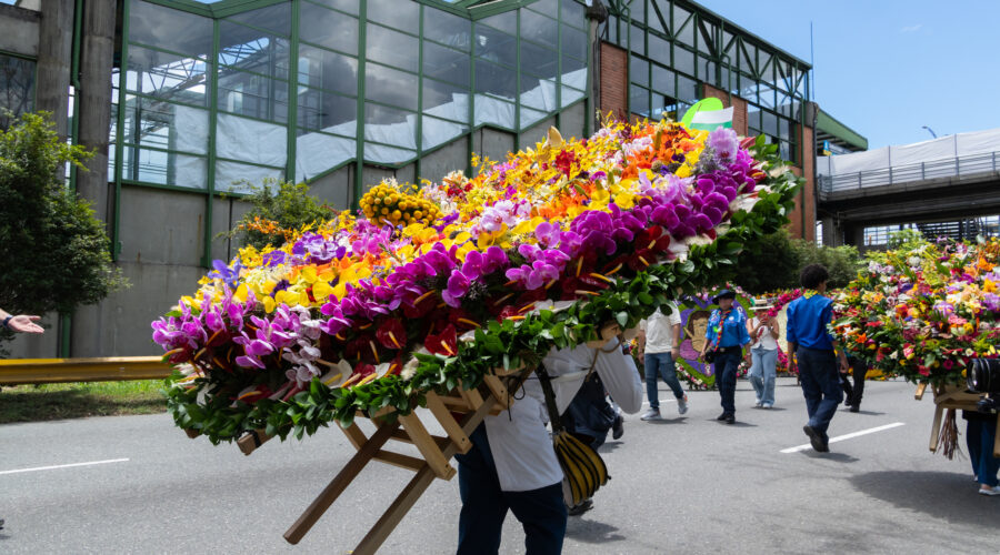 Experiencia Silletera con ingreso al Desfile de Silleteros 2026 en Medellín