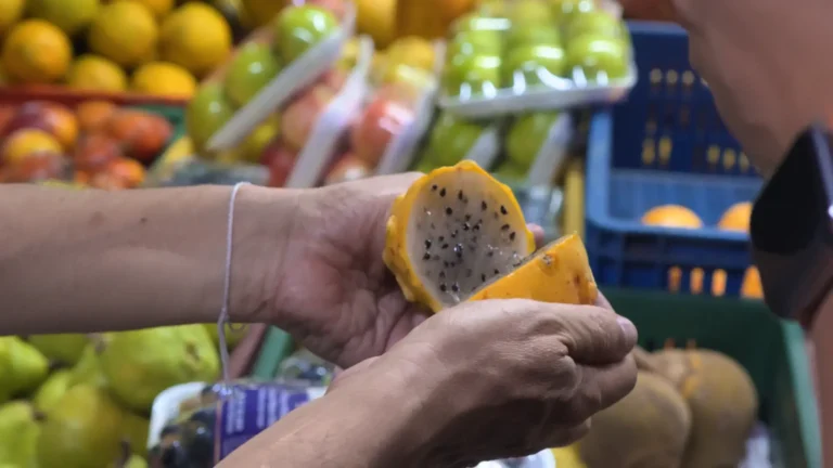 Frutas frescas en un mercado de Medellín, una experiencia para descubrir los sabores locales de Antioquia